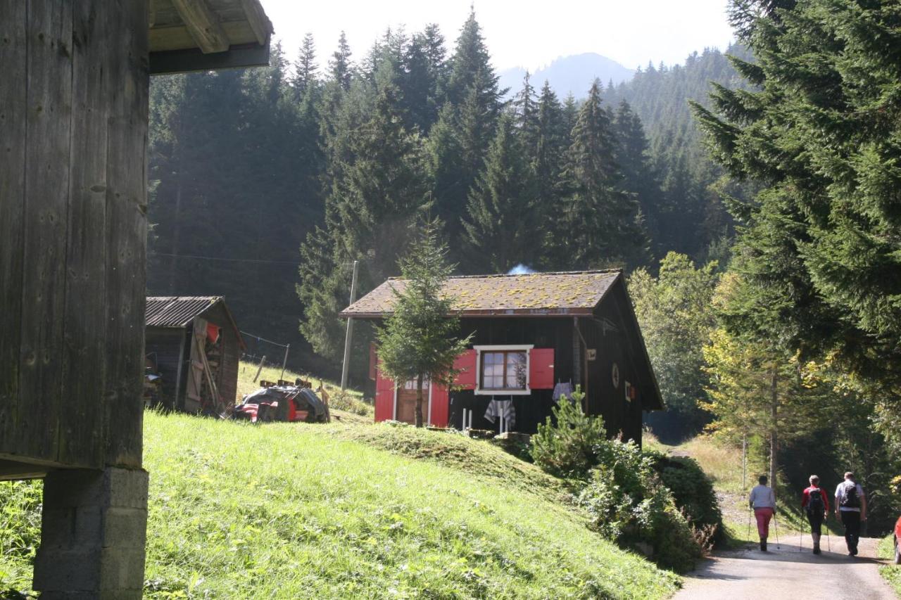 Heerlijke Wandel Of Ski Vakantie In Torgon Portes Du Soleil Eksteriør bilde